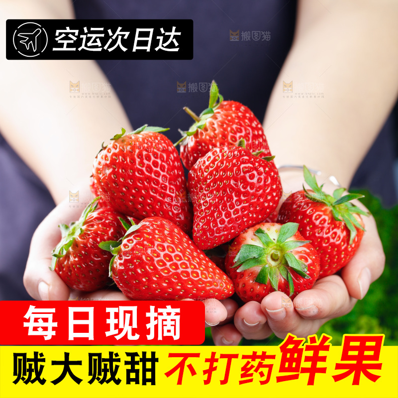 深底上的丹东草莓