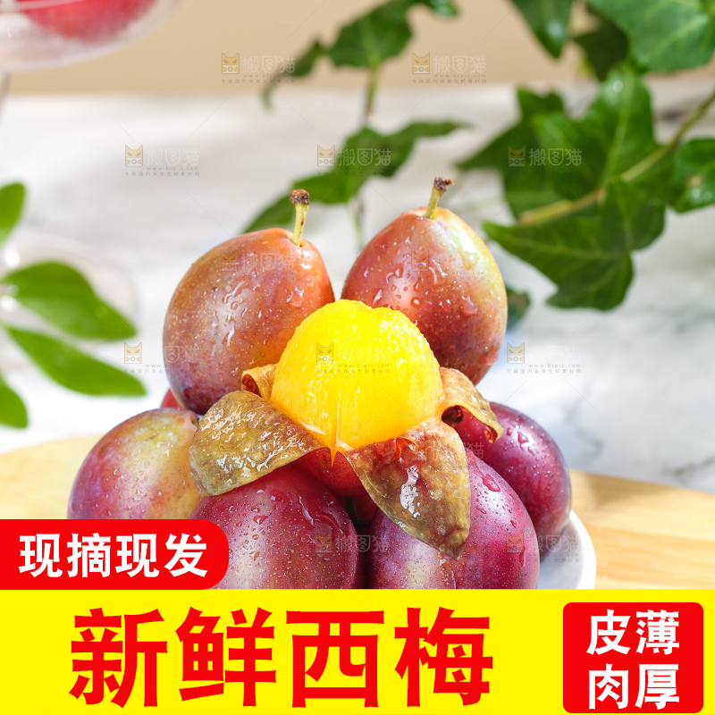 浅底上的澳洲西梅