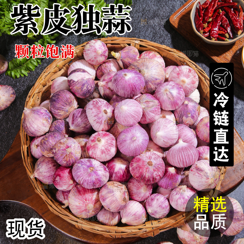 深底上的紫皮独蒜