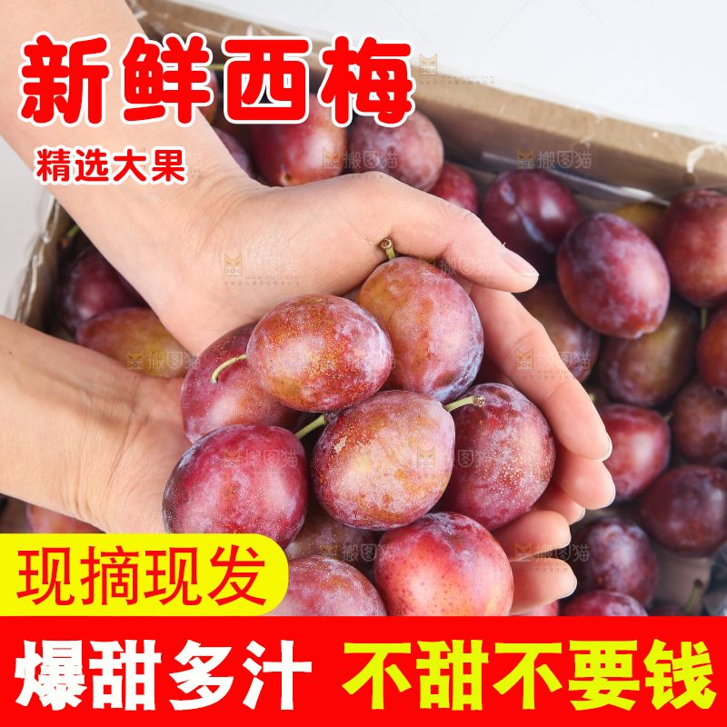 深底上的澳洲西梅