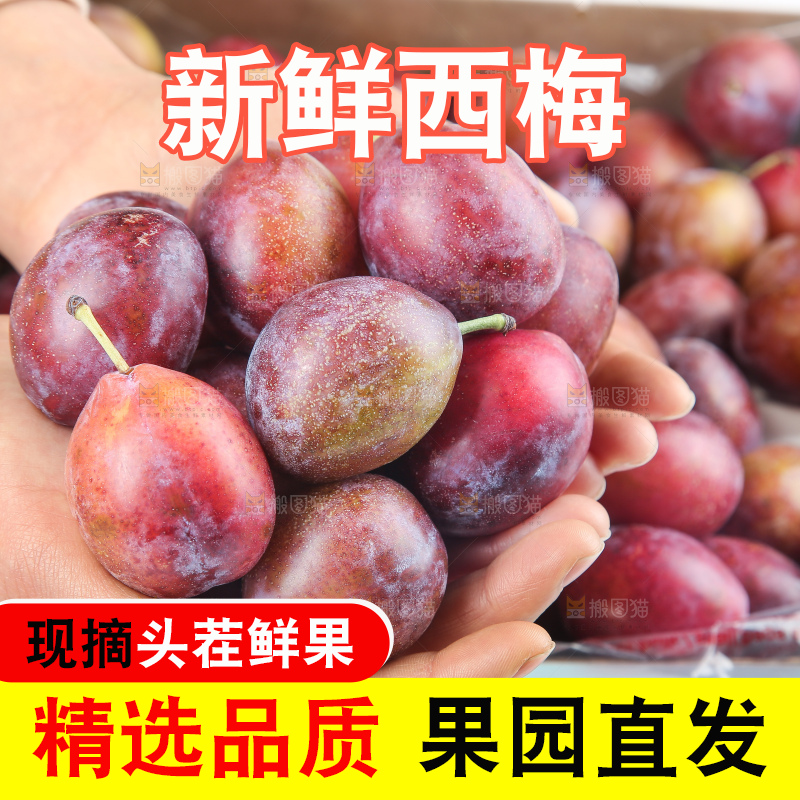 深底上的澳洲西梅