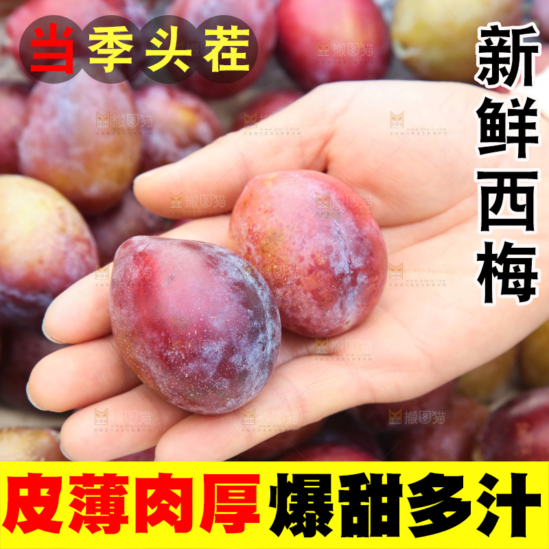 手里拿着澳洲西梅