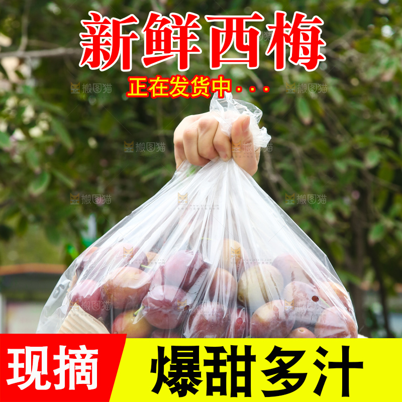 手里拿着澳洲西梅