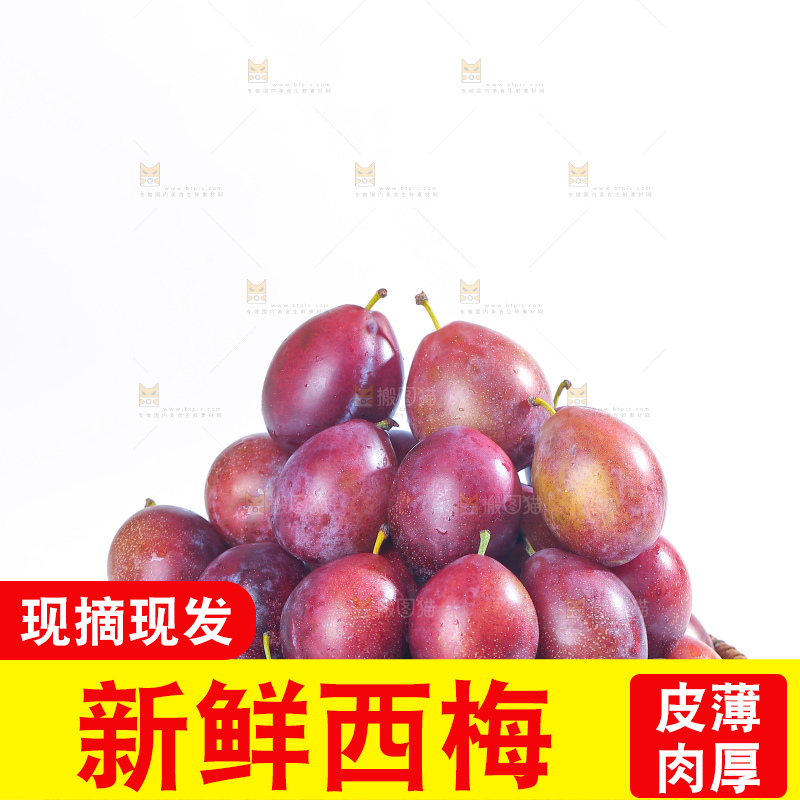 白底上的澳洲西梅