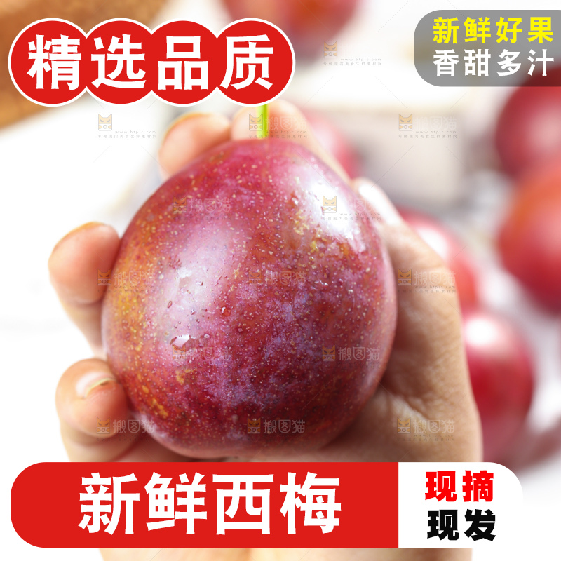 浅底上的澳洲西梅