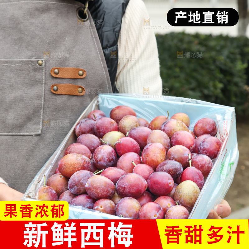 手里拿着澳洲西梅