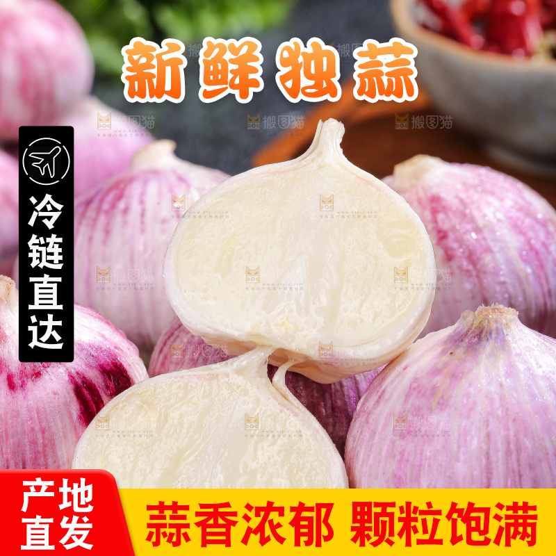 深底上的紫皮独蒜