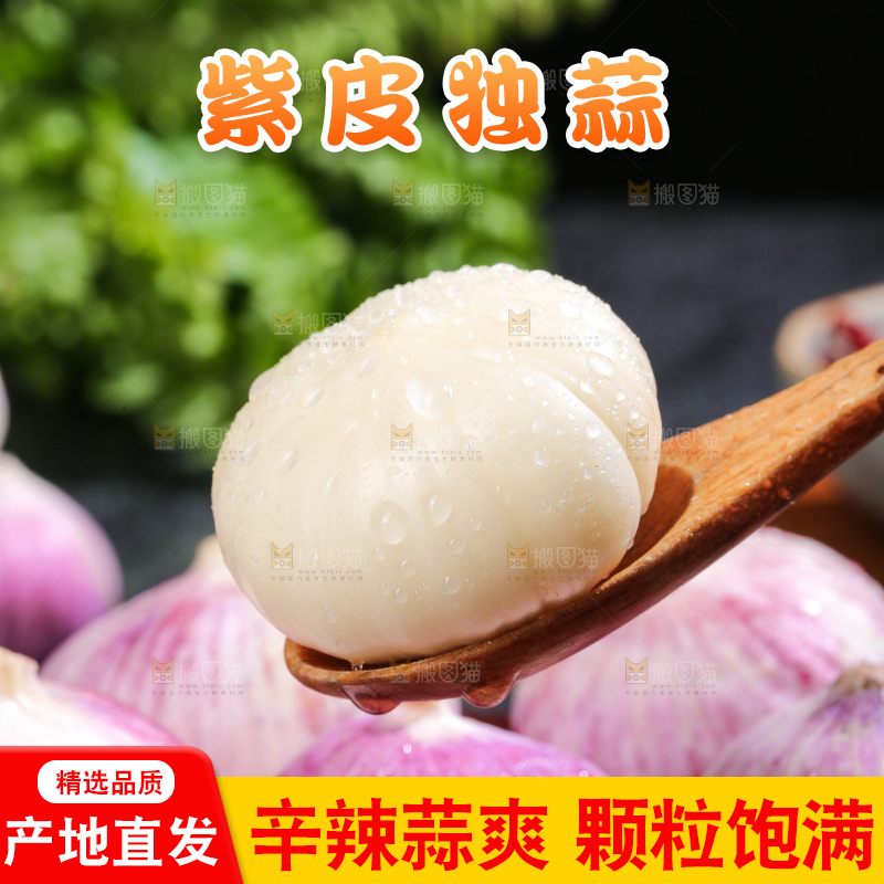 深底上的紫皮独蒜