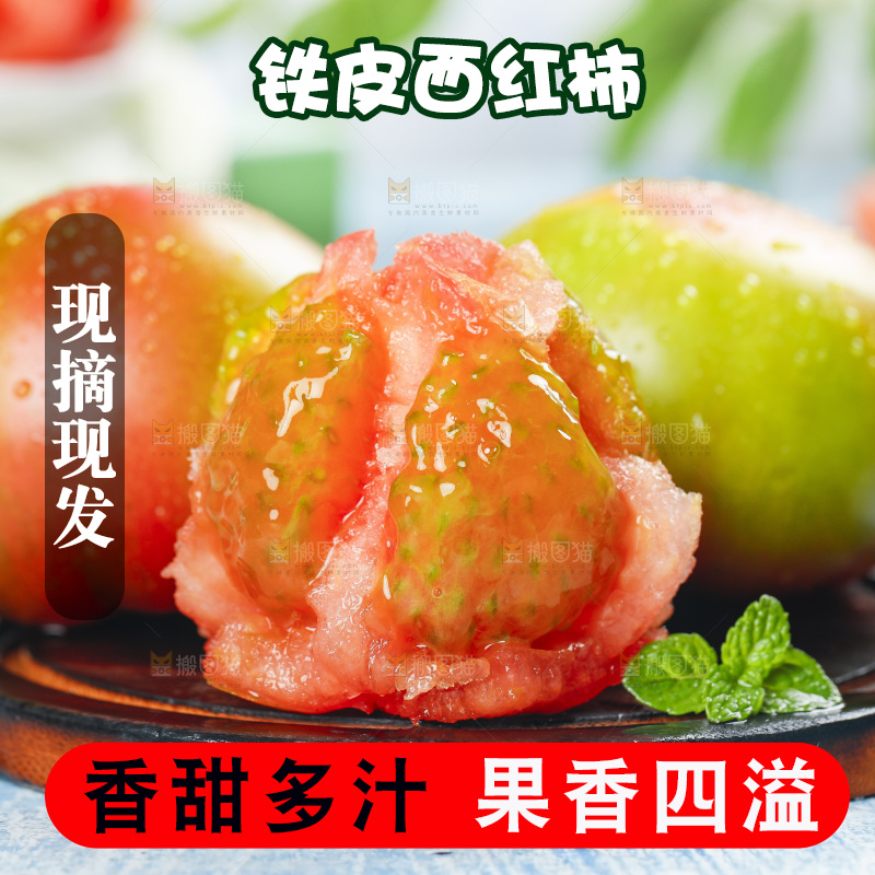 浅底上的铁皮西红柿