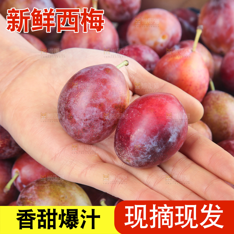 深底上的澳洲西梅