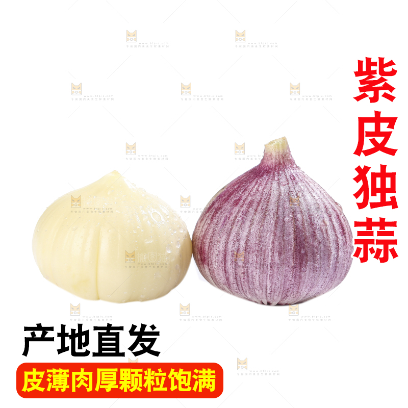 白底上的紫皮独头蒜
