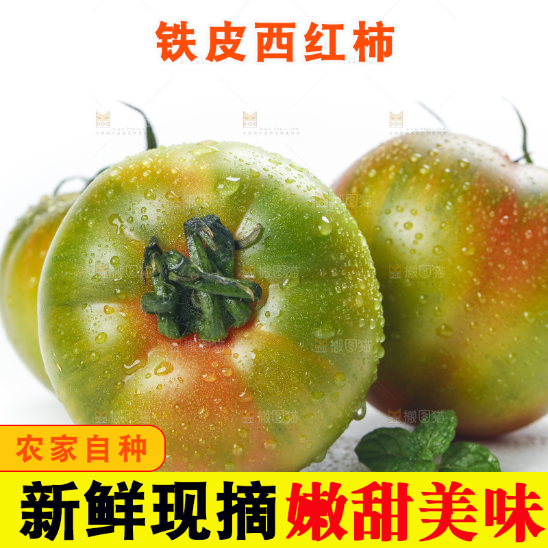 白底上的铁皮西红柿
