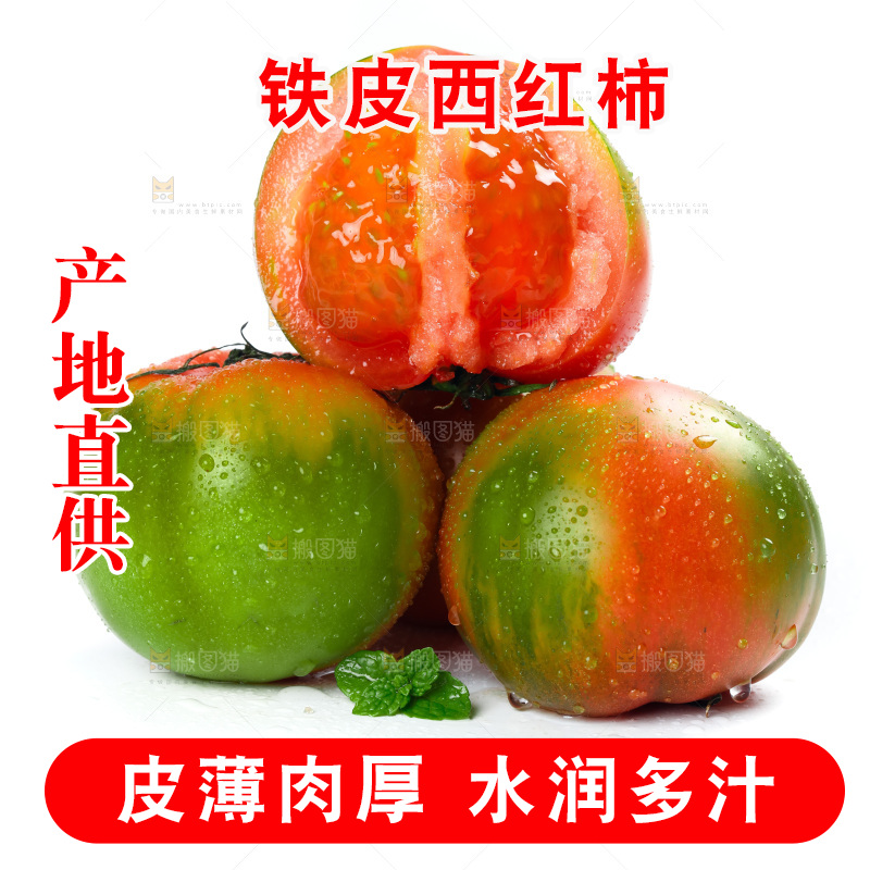 白底上的铁皮西红柿