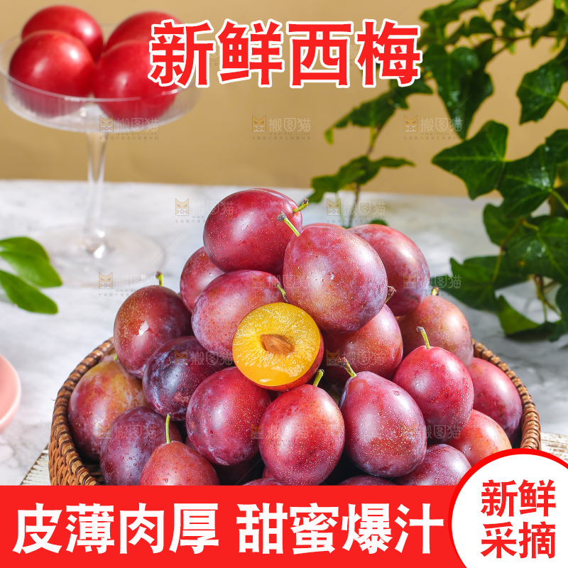 浅底上的澳洲西梅
