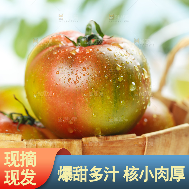 浅底上的铁皮西红柿