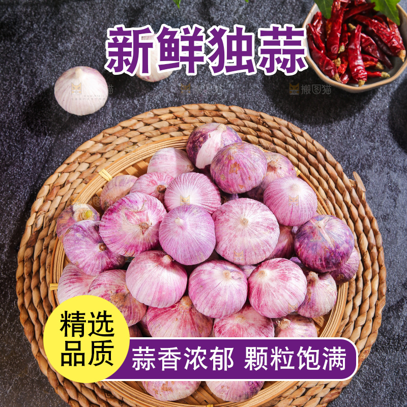 深底上的紫皮独蒜