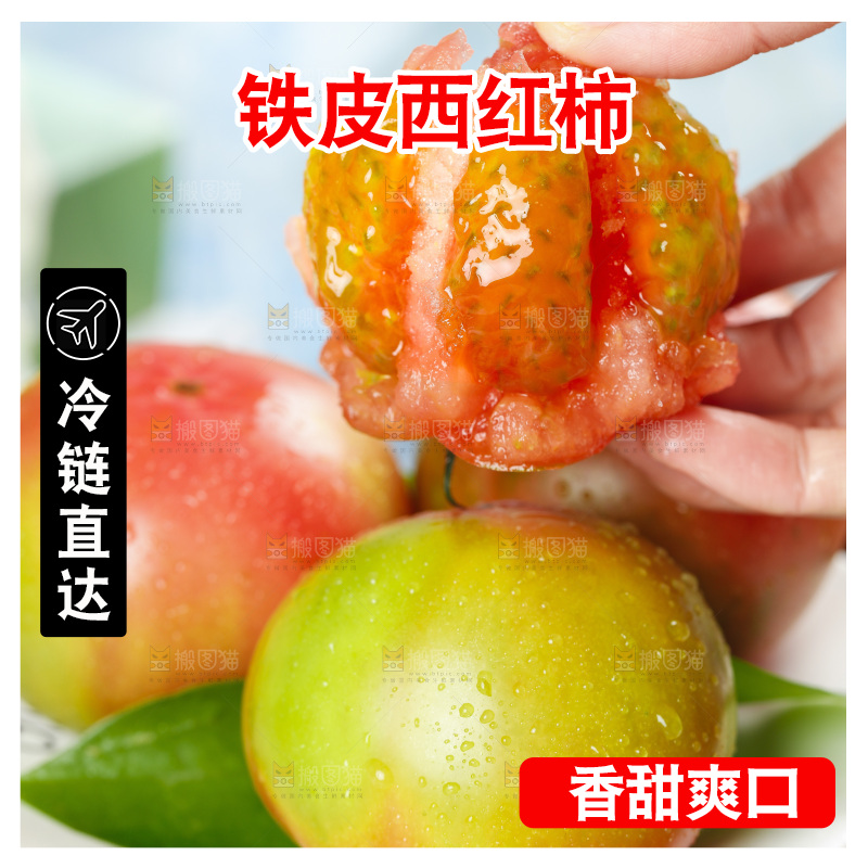 浅底上的铁皮西红柿