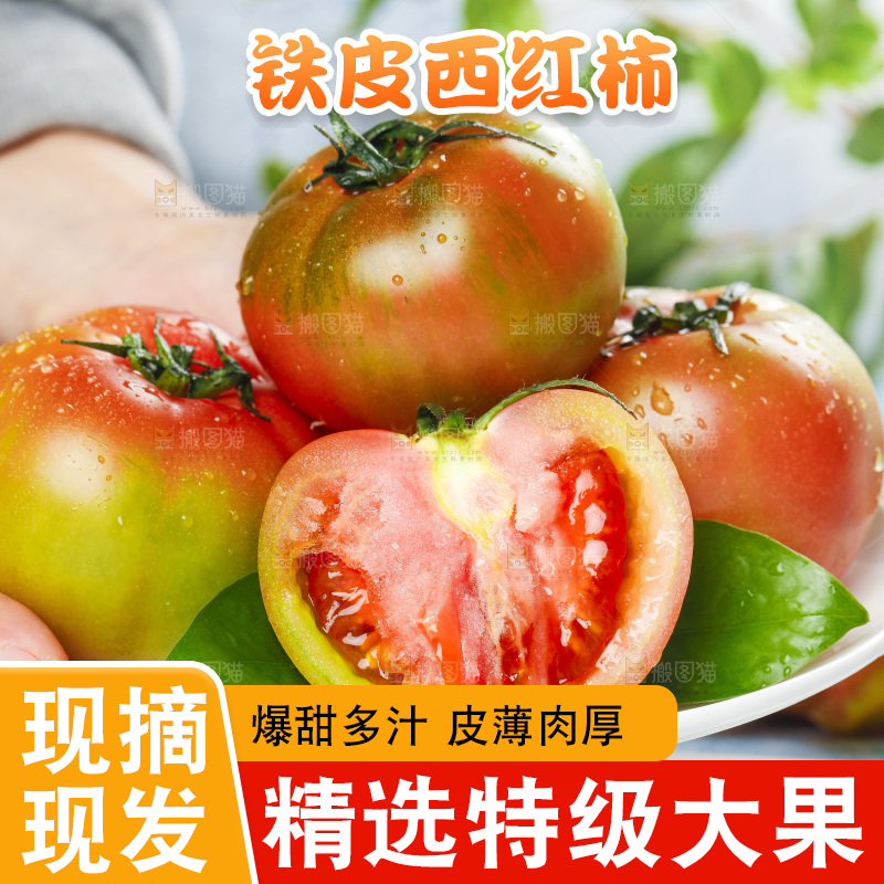 浅底上的铁皮西红柿