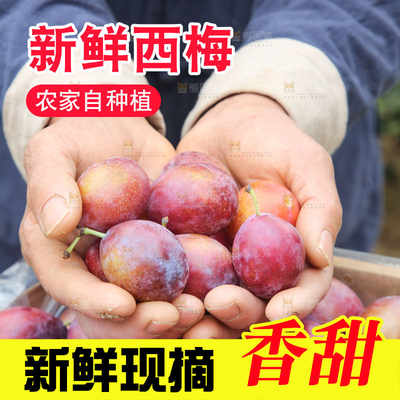 手里拿着澳洲西梅