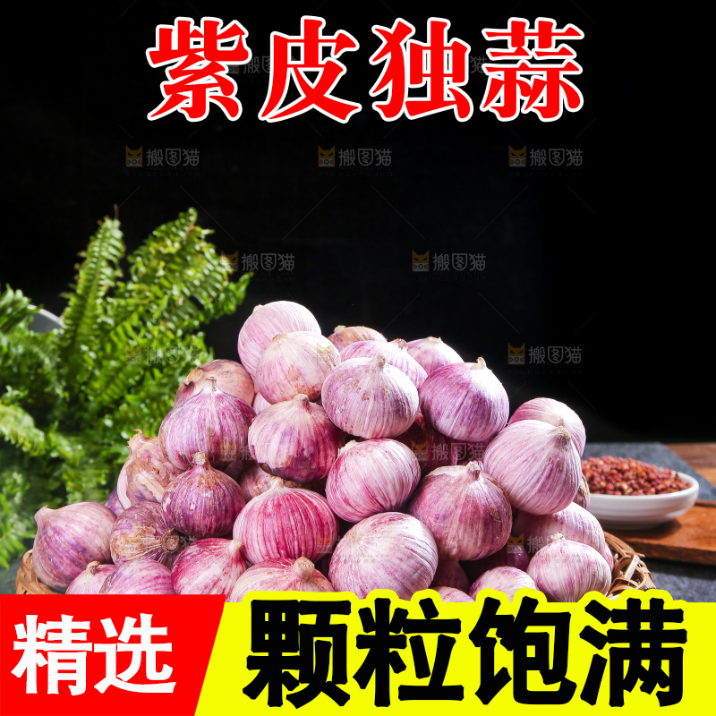 深底上的紫皮独蒜