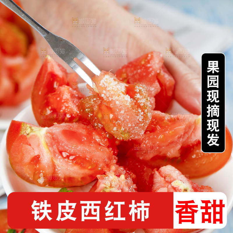 浅底上的铁皮西红柿
