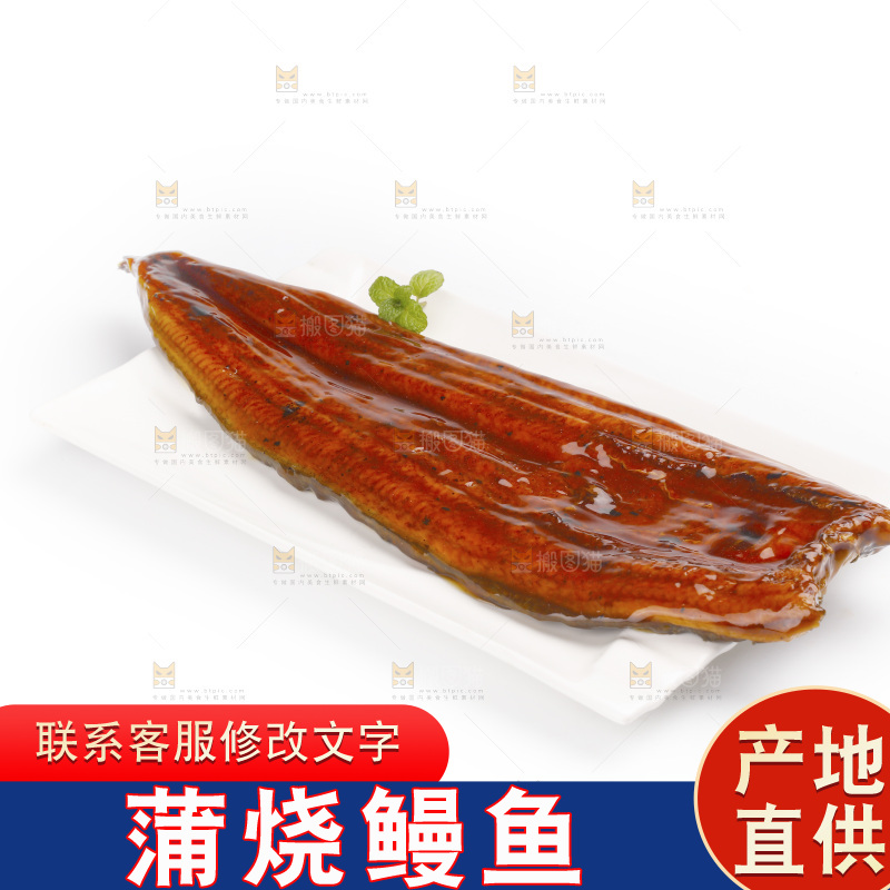 白底上的照烧鳗鱼