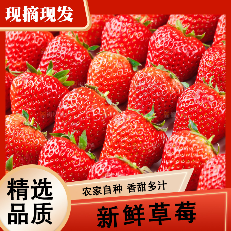 浅底上的丹东草莓