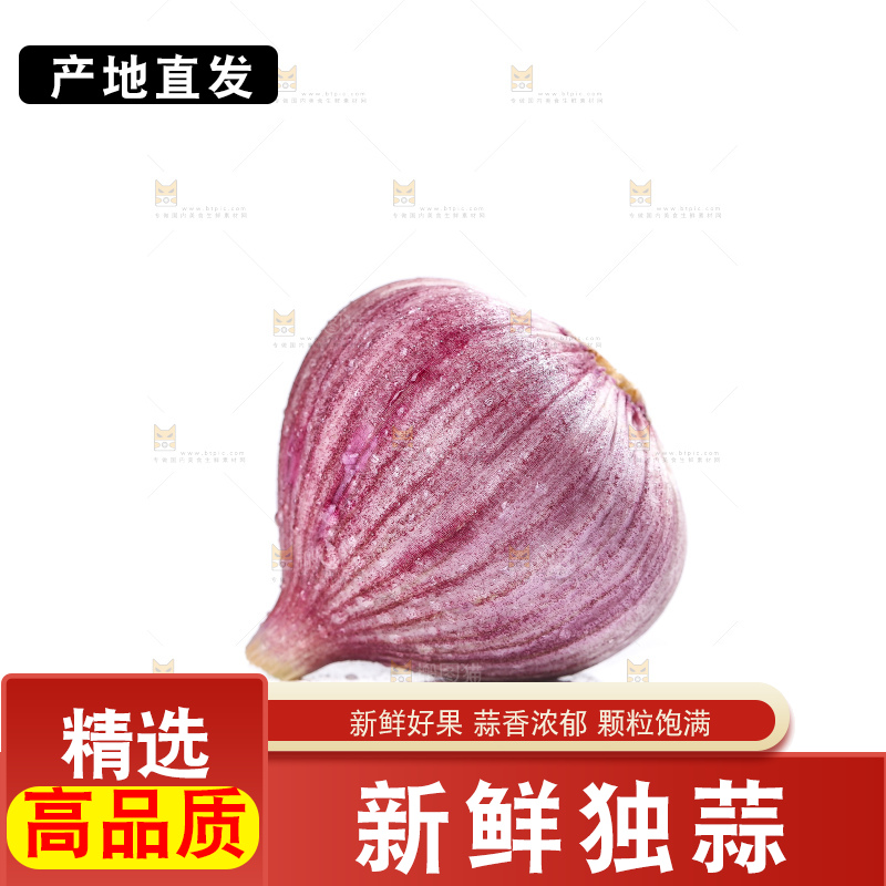 白底上的紫皮独头蒜