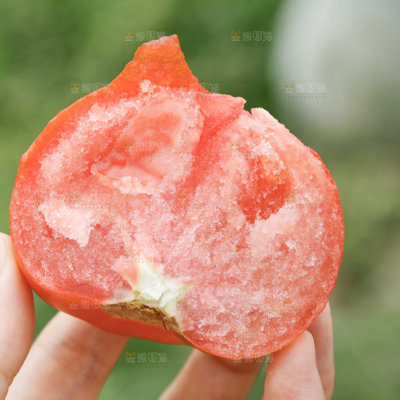 手里拿着普罗旺斯西红柿