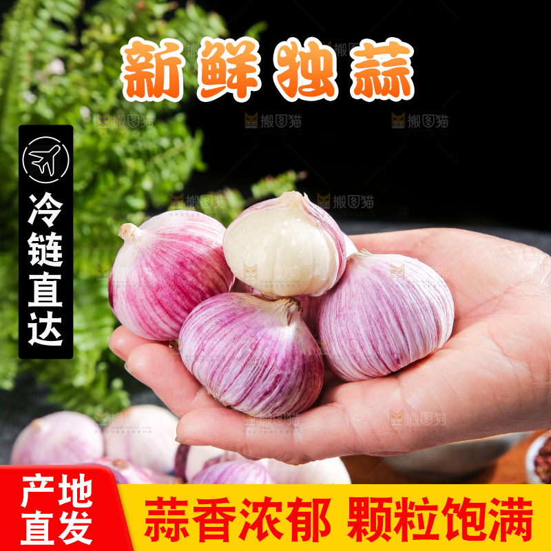 深底上的紫皮独蒜