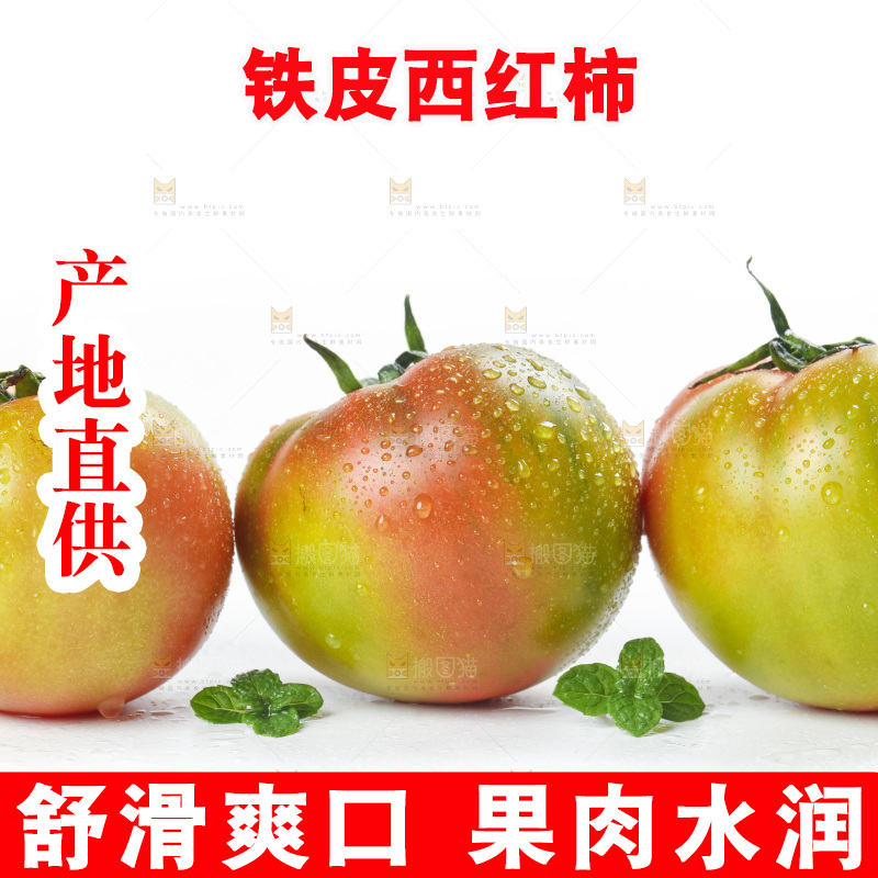 白底上的铁皮西红柿