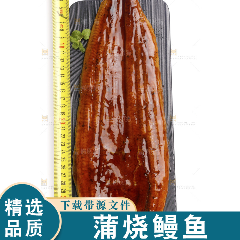 白底上的照烧鳗鱼