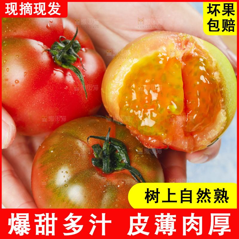 浅底上的铁皮西红柿