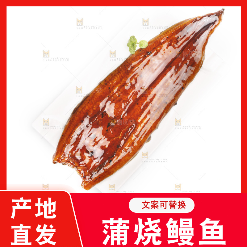 白底上的照烧鳗鱼