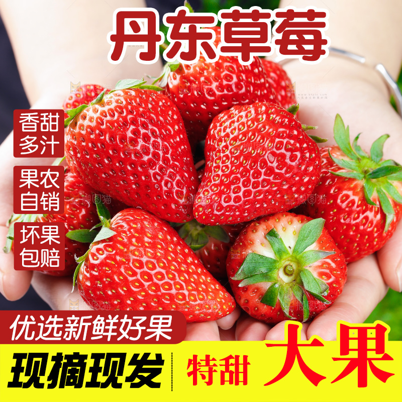 深底上的丹东草莓