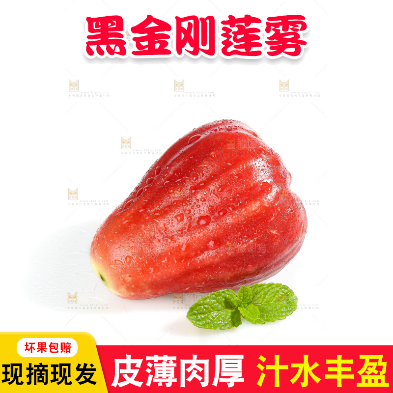白底上的新鲜莲雾