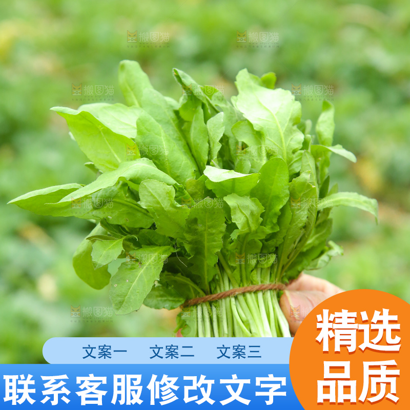 手里拿着地菜