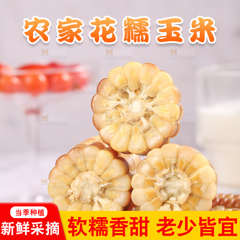 浅底上的花糯小玉米