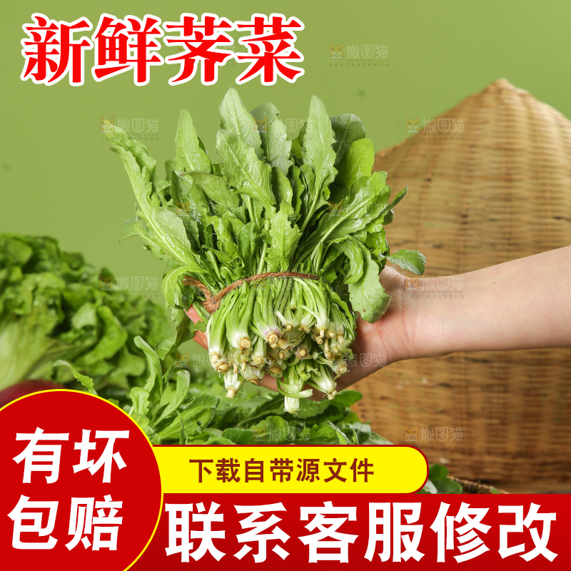 木底上的地菜