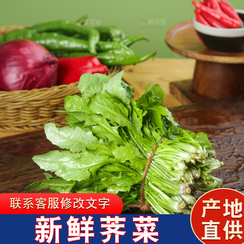 木底上的地菜