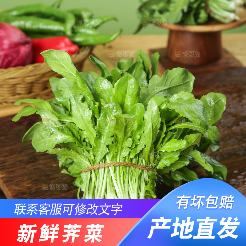 木底上的地菜