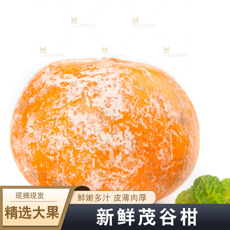 白底上的茂谷柑