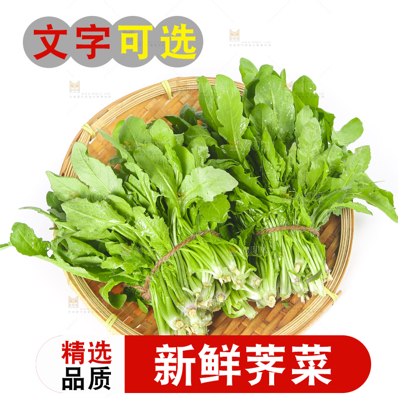 白底上的荠菜
