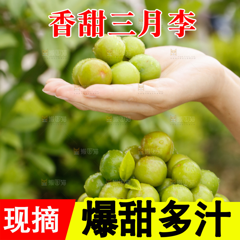 手里拿着三月李