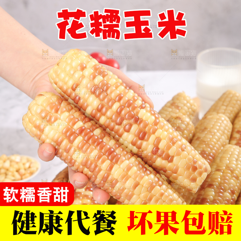 浅底上的花糯小玉米