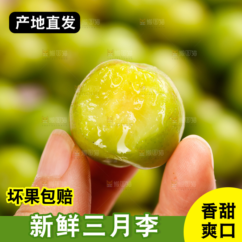 浅底上的三月李
