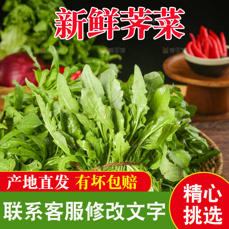 木底上的地菜