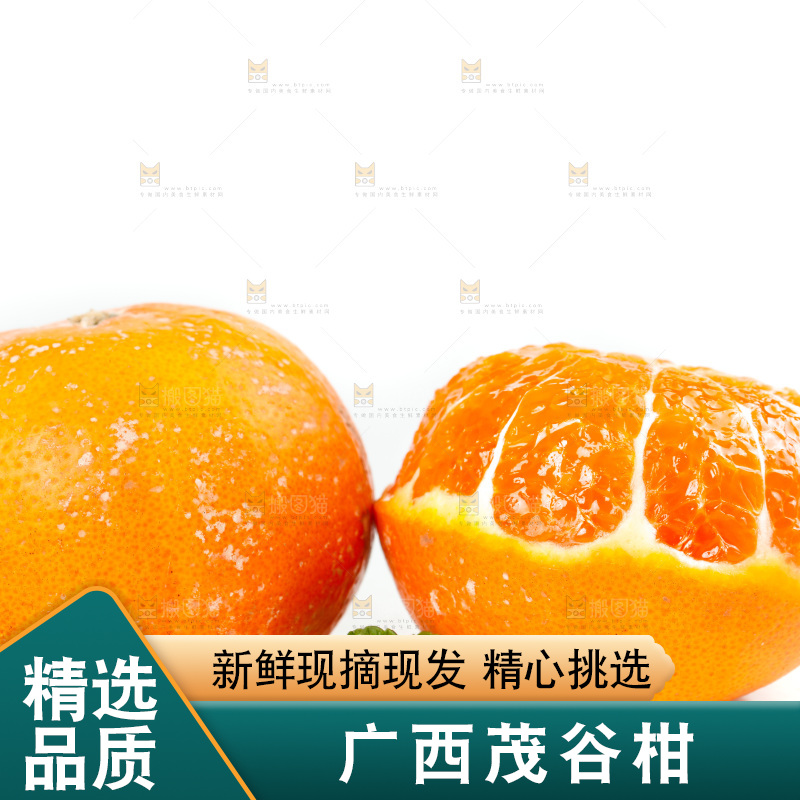 白底上的茂谷柑