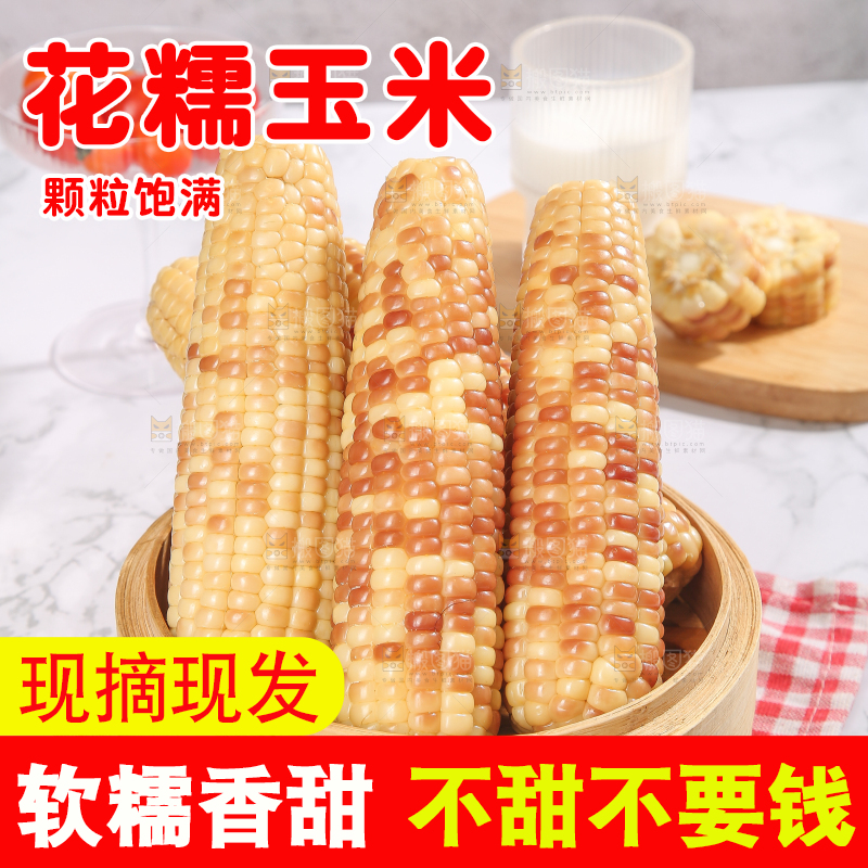 浅底上的花糯小玉米