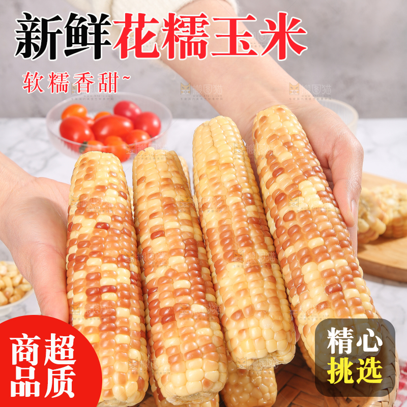 浅底上的花糯小玉米